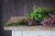 Dried Mediterranean herbs on a wooden table